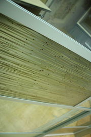 广东华溢众志装饰材料制品厂 专业品质，装饰未来